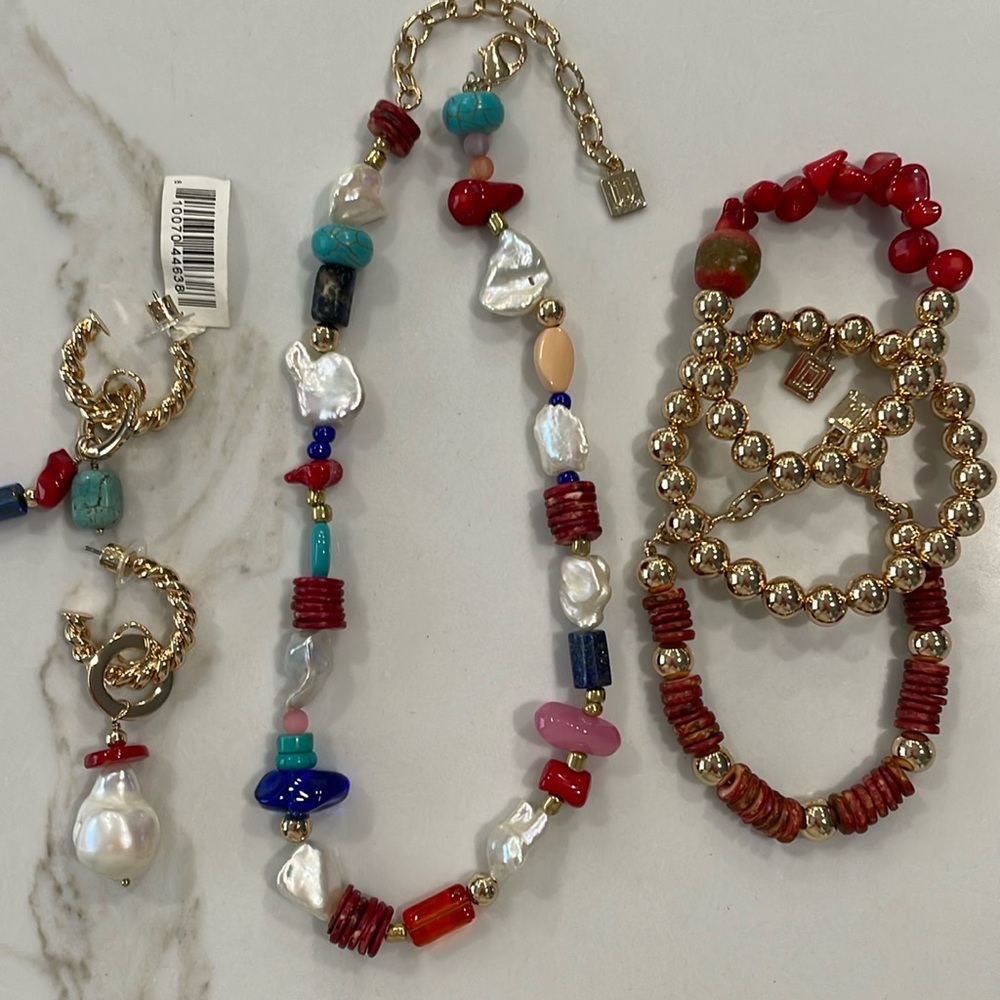 Dannijo jewelry set